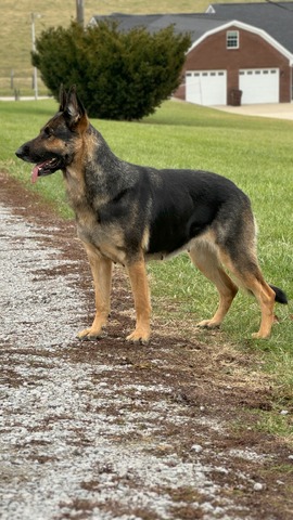 Valka Marie