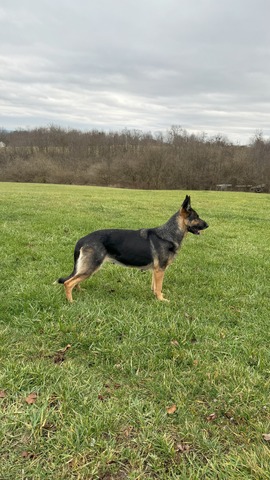 Valka Marie