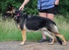 Valka (Valka Marie Von Short)